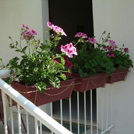 חוואר Apartmani Luna מראה חיצוני תמונה