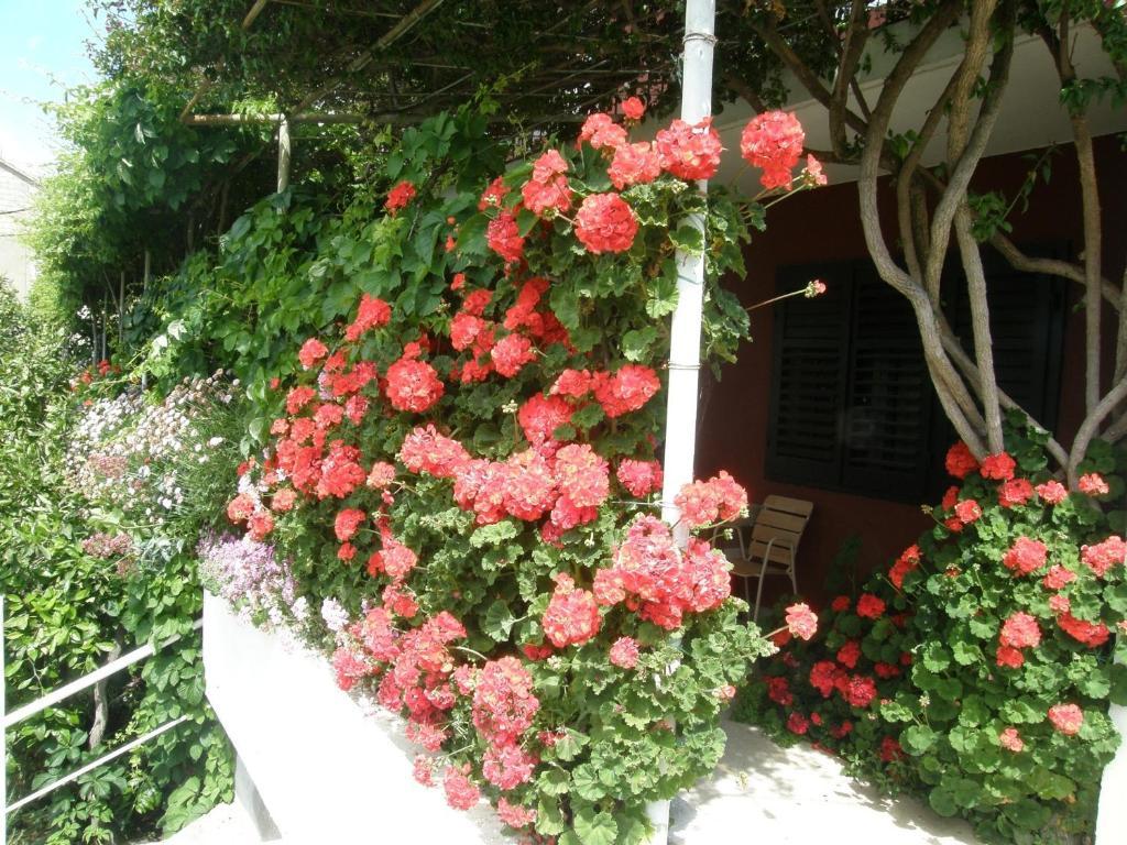 חוואר Apartmani Luna מראה חיצוני תמונה