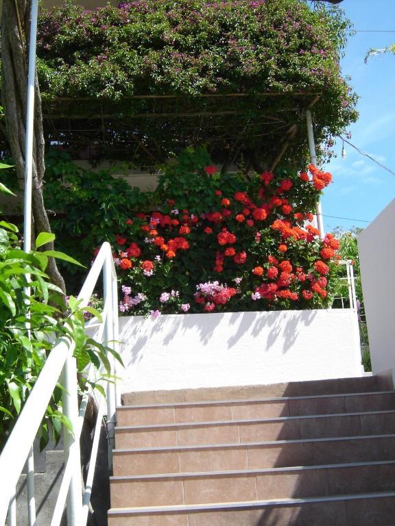 חוואר Apartmani Luna מראה חיצוני תמונה