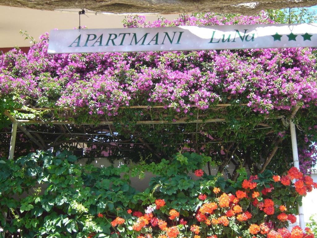 חוואר Apartmani Luna מראה חיצוני תמונה