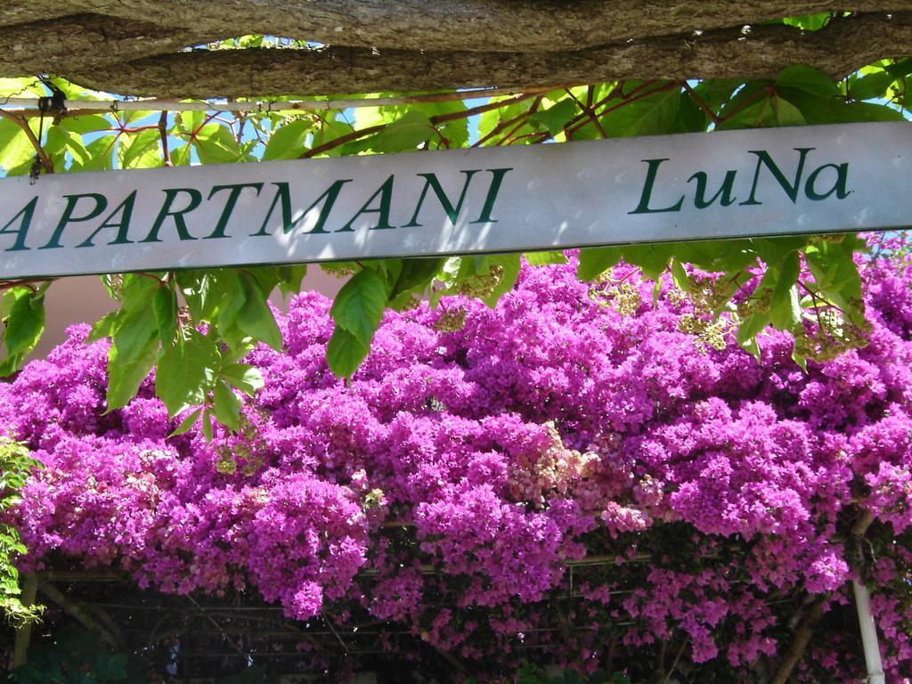 חוואר Apartmani Luna מראה חיצוני תמונה
